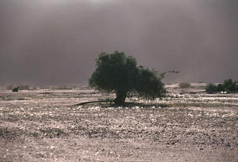 bild: burkina tobis
