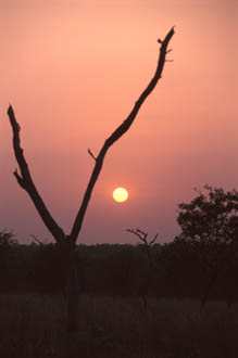 bild: burkina tobis